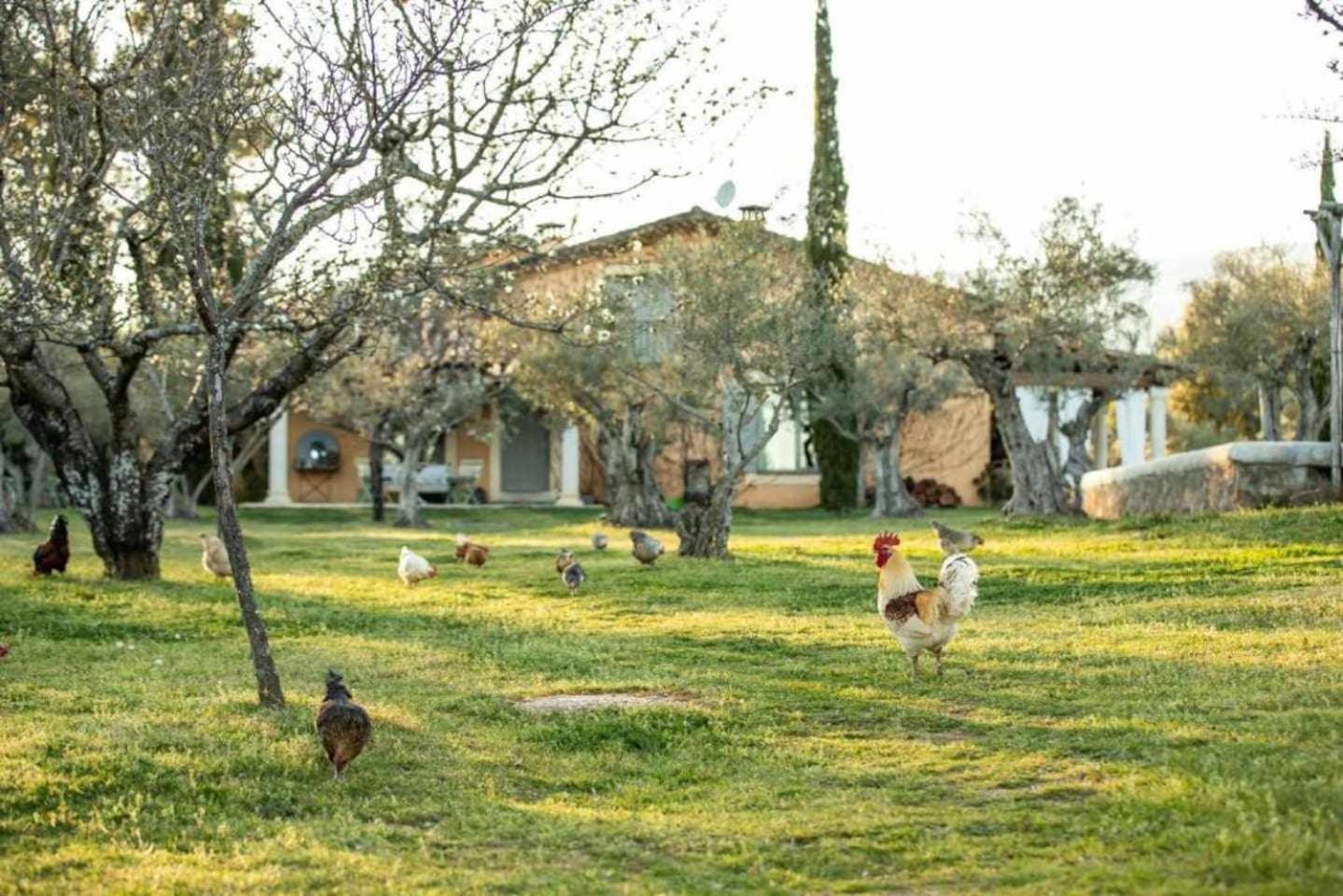 Vaqueria Cantaelgallo Jaraíz de la Vera Habitación foto